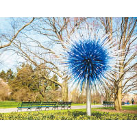 Dale Chihuly作品Sapphire Star
