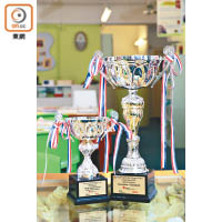 除了獲得香港比賽冠軍，得獎學生更代表香港遠赴美國參加「國際可持續發展項目奧林匹克競賽」（I-SWEEEP），並且獲得「工程」組別的銅獎。