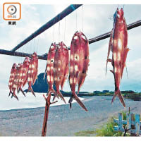 蘭嶼人曬飛魚乾，通常會選在飛魚收藏祭後。