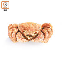 毛蟹雖然細細隻，但肉質鮮甜無比，是日本時令野生蟹種。