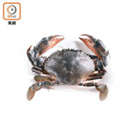 肉蟹即是雄青蟹，肉質爽甜又紮實，每年農曆五、六月最為肥美。