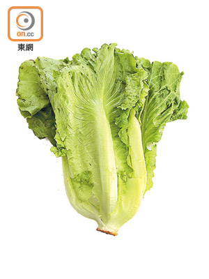 經過改良的福山萵苣菜葉油亮翠綠，口感爽脆，味道清甜，不但是大受歡迎的家常菜，也是台式火鍋的必點蔬菜。