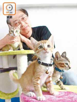 有5年暫養父母經驗的Tony，曾暫養逾70隻貓咪。