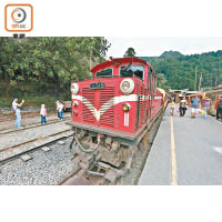 登阿里山最有特色的方法就是搭乘登山小火車。