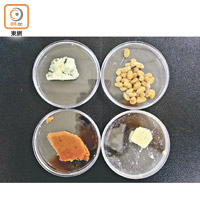 學生挑選了納豆、芝士、味噌和腐乳這4種發酵食品，作為研究對象。