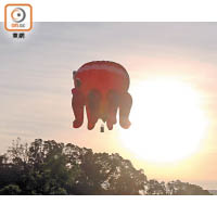 來自日本的八爪魚熱氣球，正在旭日初升時進行自由飛行。
