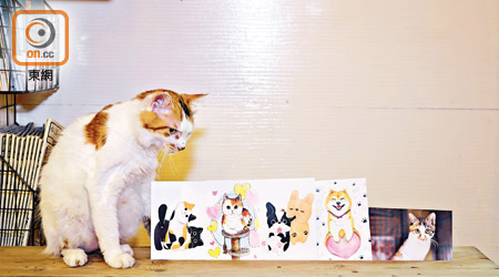為籌募毛孩的醫療費用，香港郵意與香港拯救貓狗協會合作發起義賣明信片行動。