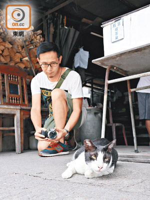 這8年來，Basa每日都會帶着相機，四圍捕捉街貓寫照。