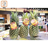 相信大家對菲律賓菠蘿都不會感到陌生，體積大、味道清甜、果汁豐富都是其特色，水準平均加上價錢便宜，所以最受歡迎。