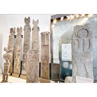 台大人類學博物館存放的，很多是該校考古類學系的重要收藏。