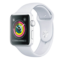 Apple Watch Series 3售價：$2,688起