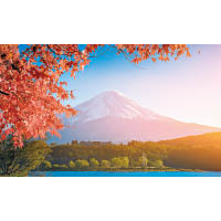在紅葉的點綴下，富士山另有一番美態。