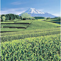 親眼見證富士山的雄壯，比相片震撼得多。