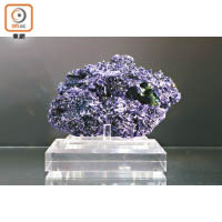 產自中國安徽省的藍銅礦與孔雀石共生晶體。