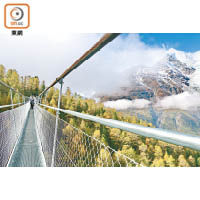 鋼纜重8噸及直徑達53毫米，令吊橋保持穩定。
