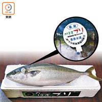 重達6公斤或以上的油甘魚，才能稱之為鰤魚，可以想像每一條魚都分量十足。為了清楚鰤魚乃以柑橘餵飼及源自特定水域，每條柑橘鰤魚身上皆有標籤識別。