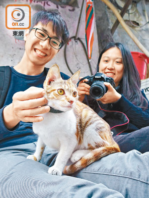 一對貓癡小情侶以拍攝街貓為樂，經常游走香港各區，並成立網上專頁《香港街貓圖鑑》，把作品公諸同好。