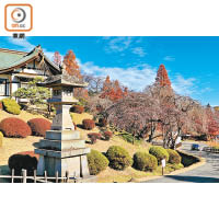 神社的日式庭園建築群，於日光下分外優美。