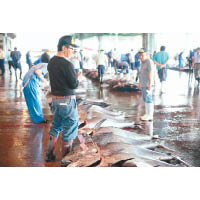 清晨3點魚市場便開始將魚獲拍賣，場面相當熱鬧。