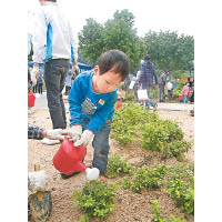 小朋友可於親子種植園栽種小幼苗。