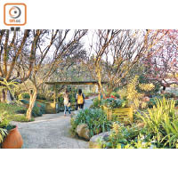 千樺最初是園藝師張爸爸設計的花園，四季有着不同的迷人景色。