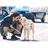 主角：小Q<br>6.提示：改編自日本作家石黑謙吾和攝影師秋元良平合著的小說，由崔洋一執導，講述盲人與導盲犬之間的故事。