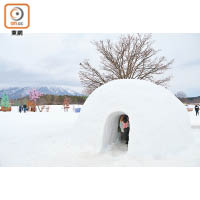 農場中有雪屋，大家可以鑽進去開餐。