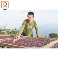 咖啡從種植、採收、生豆製作、烘培，都由陳老闆夫妻檔一手包辦。