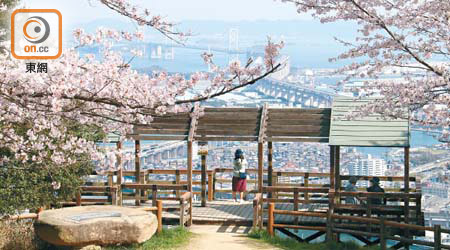 在海拔高度224米的青之山展望台，可飽覽瀨戶內海與沿岸城鎮全景。