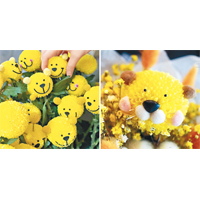 黃色的乒乓菊可以變身成小熊、獅子等動物。