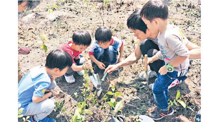 植樹的同時，也是教導小朋友愛護環境及植物的寶貴機會。