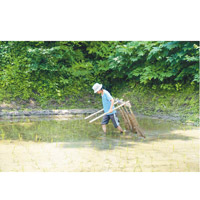 使用日本農夫的工具為米田除草，別人看似很辛苦的工作，細細粒的阿汶卻表示是個很難得的學習機會，自己亦非常享受。