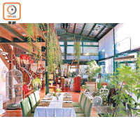 餐廳採用落地玻璃設計，配以植物和花卉，清新脫俗。
