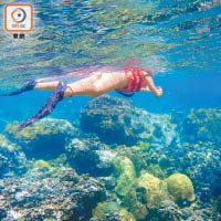 Koh Ngam Yai和Koh Ngam Noi的珊瑚覆蓋率極高，是浮潛深潛皆宜的潛點。