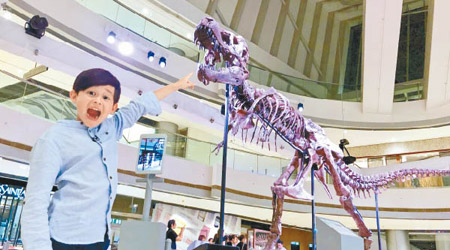這具長達12米的美洲暴龍化石，重約兩噸，在南達科他州出土，並於ifc商場作全球首次展出。