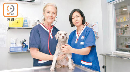 香港青年協會與寵物診所Pets Central合作，推出「年邁寵物護理證書課程」，由註冊獸醫Dr. Pauline Taylor（左）擔任導師。