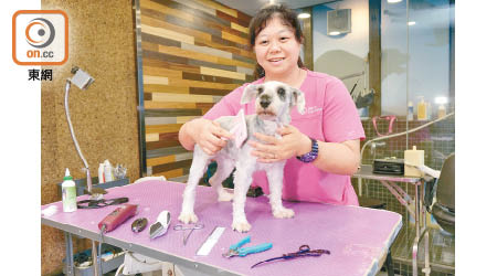 香港愛護動物協會美容部主管勵淑芬
