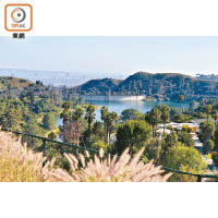 Lake Hollywood Park是當地的水塘公園。