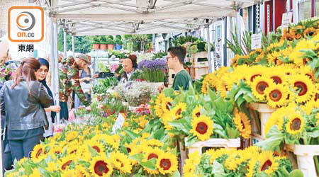 Columbia Road Flower Market不單是遊客景點，亦是當地愛花之人最愛的蒲點！