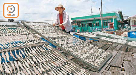 吉膽島漁民曬魚的畫面，是當地的招牌景致。