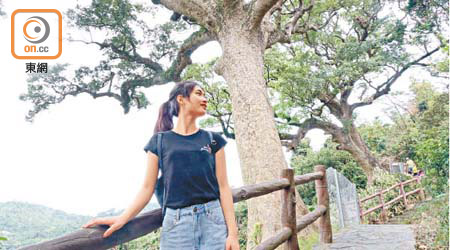 坐落沙螺灣的大樟樹，是村內的風水樹，亦是香港古樹排行榜的榜首，估計樹齡超過400歲。