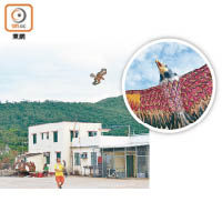 有別於一般風箏，「盤鷹」風箏在無風情況下仍可高飛，大家可於「翱翔」藝動沙螺灣活動舉行期間入村試玩。