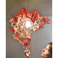 Pod<br>由可屈曲的物料製成，用家可將它扭成牆身裝飾、生果盤或燈罩。