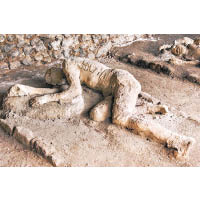 龐貝古城是個曾被火山岩灰活埋的羅馬時期遺迹。