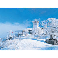 來到龍平，遊客可以盡情享受滑雪的樂趣。