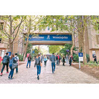 澳洲墨爾本大學是國際知名大學，於2019年度TIMES世界大學綜合排名和QS世界大學綜合排名分別名列第32位和39位。（互聯網圖片）