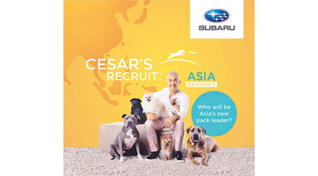 第三季《Cesar’s Recruit》的勝出者，有機會與金牌馴狗師Cesar Millan主持節目。