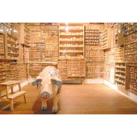 館內設有29個展廳，收藏來自世界各地的5萬多件展品，探索豬的歷史。