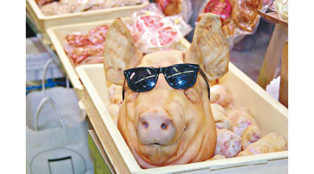 「黑超」豬頭裝飾是沖繩的熱門「打卡」位。
