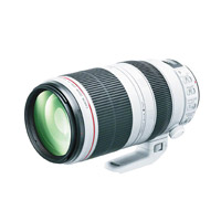 Canon EF 100-400mm f4.5-5.6L IS II USM的焦距剛好顧及到整體場景及特寫拍攝，可說一舉兩得！<br>網址：www.canon.com.hk